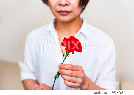 母親 に カーネーション を プレゼント する 【 母の日 の イメージ 】 母親 に カーネーション を プレゼント する 【 母の日 の イメージ 】 99352219
