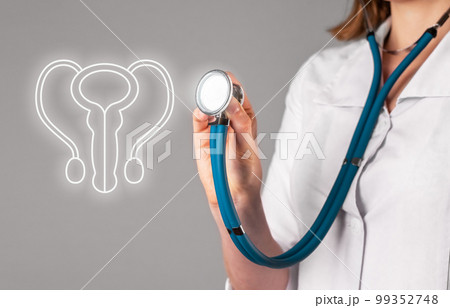 Male reproductive disease, health concept. Doctor examining prostate, gentals, penis and bladder 99352748