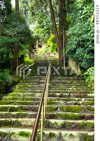 新緑の長命寺 新緑の長命寺 99353324