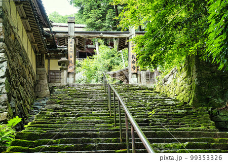 新緑の長命寺 99353326