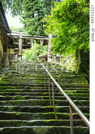 新緑の長命寺 新緑の長命寺 99353327