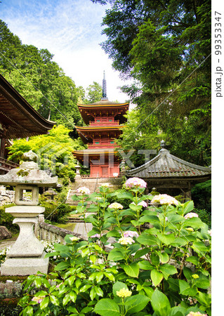 新緑の長命寺 99353347