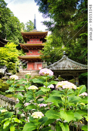 新緑の長命寺 99353348