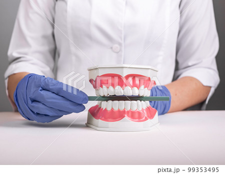 Correct teeth occlusion concept. Odontology, orthodontics health care Correct teeth occlusion concept. Odontology, orthodontics health care 99353495