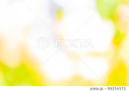 カラフル・フレッシュ 背景素材 99354373