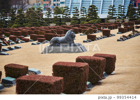 United Nations Memorial Cemetery in Busan South Korea United Nations Memorial Cemetery in Busan South Korea 99354414