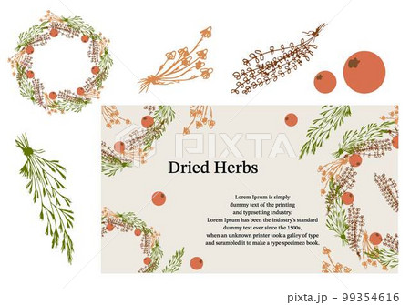 Border Dry Herbs, Dried Flowers. Web for plants, Natural medicine. Black and White Vector illustration Border Dry Herbs, Dried Flowers. Web for plants, Natural medicine. Black and White Vector illustration 99354616