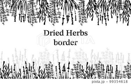 Border Dry Herbs, Dried Flowers. Natural medicine. Black and White Vector illustration 99354618