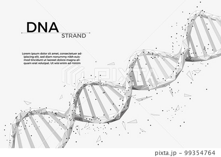 3d dna wireframe, medical innovation. Life gene science graphic, biology or chemistry, genetic abstract texture. Molecules chain. Evolution and mutation sign. Vector technology concept 3d dna wireframe, medical innovation. Life gene science graphic, biology or chemistry, genetic abstract texture. Molecules chain. Evolution and mutation sign. Vector technology concept 99354764