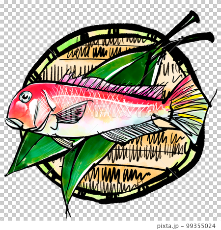 Hand-drawn illustration of tilefish (brush writing watercolor sumi-e style) 99355024