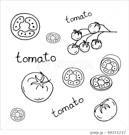 Doodle tomatoes, tomato slices, Cherry, lettering. Line art black and white style. Vector illustration. Doodle tomatoes, tomato slices, Cherry, lettering. Line art black and white style. Vector illustration. 99355237