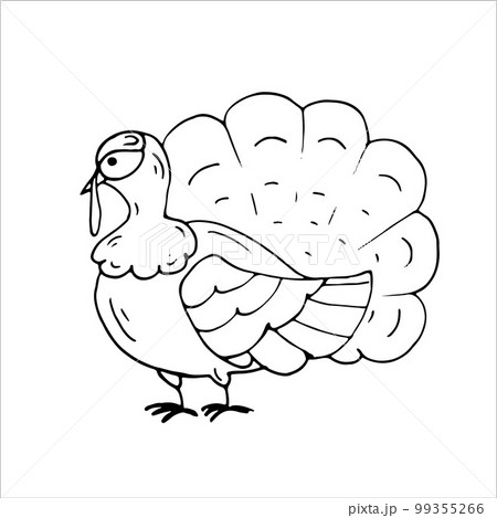 Turkey Coloring Page Thanksgiving day. Isolated Vector Illustration Turkey Coloring Page Thanksgiving day. Isolated Vector Illustration 99355266