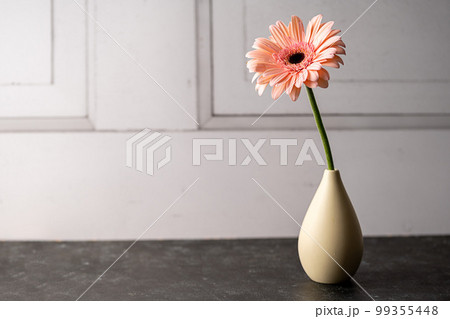 Pink Gerbera daisy flower in vase. Beautiful moody floral background 99355448