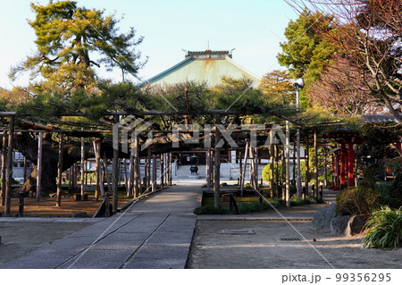 影向の松　善養寺 99356295