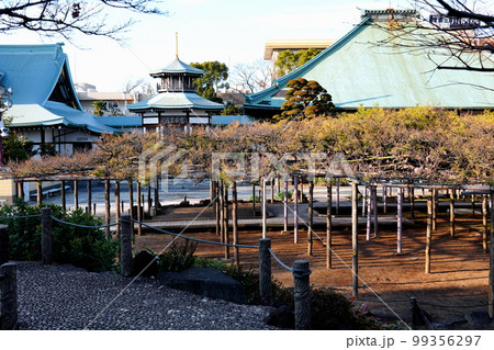 影向のマツ（ようごうのマツ）東京都江戸川区東小岩 99356297