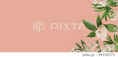 Assorted floral and jungle tree green leaves and white flowers frame border on peach pink. Natural sustainable environment friendly cosmetics mockup concept flat lay with copy space 99356375