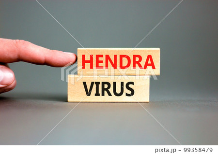 Hendra virus symbol. Concept words Hendra virus on wooden block. Beautiful grey table grey background. Doctor hand. Medical hendra virus concept. Copy space. 99358479