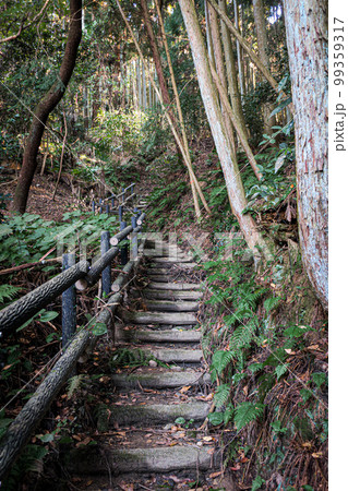 奈良・宇陀松山城 登城道（春日門跡より） 99359317