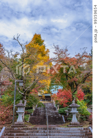 静岡県 伊豆の国市 本立寺 秋の銀杏 静岡県 伊豆の国市 本立寺 秋の銀杏 99359654