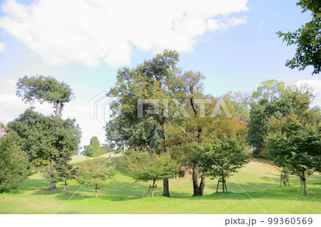 爽やか秋の公園 色づく木々 爽やか秋の公園 色づく木々 99360569