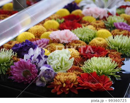 深川不動堂　花手水 99360725