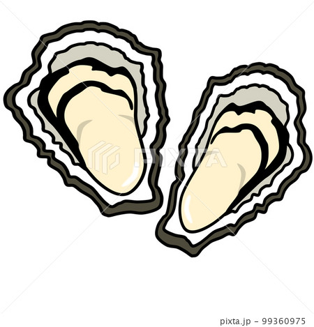 新鮮な牡蠣のポップなイラスト 99360975