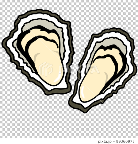 新鮮な牡蠣のポップなイラスト 99360975