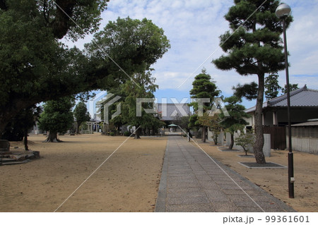 四国霊場第76番札所「金倉寺」本堂 四国霊場第76番札所「金倉寺」本堂 99361601