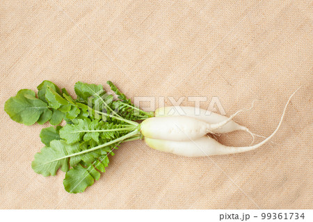 大根　葉付き　麻 99361734