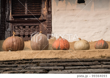 A group of Pumpkin decoration in the countryside of Nepal. 99364093