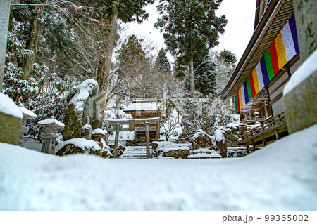 雲辺寺の雪化粧　感動の光景が広がる 99365002