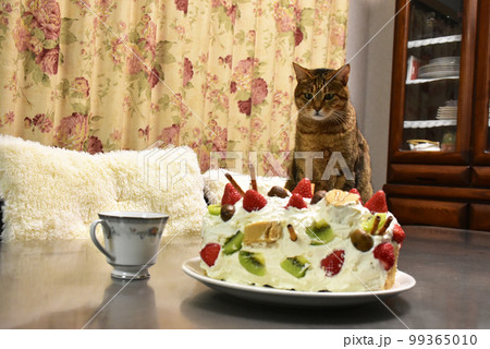 猫といちごとキウイの手作りケーキ 99365010