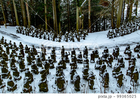 雲辺寺の雪化粧　感動の光景が広がる 99365025