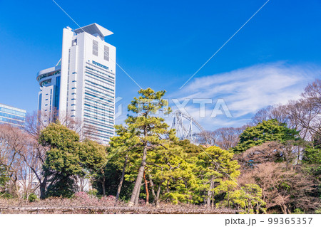 （東京都）梅が咲いた小石川後楽園 99365357