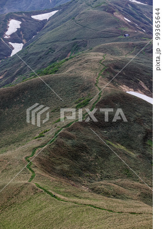 初夏の上越国境・蓬峠付近を行く登山者 99365644