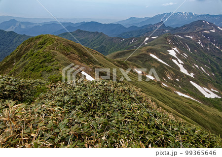 谷川連峰・武能岳から見る蓬峠・大源太山・巻機山 99365646