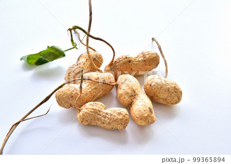 殻付きピーナッツ 落花生 ラッカセイ 南京豆 殻付きピーナッツ 落花生 ラッカセイ 南京豆 99365894