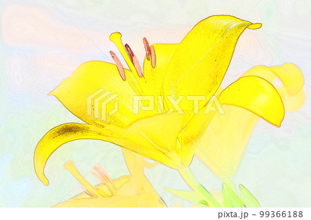 クローズアップ イラスト 雄しべ雌しべのユリ4 99366188