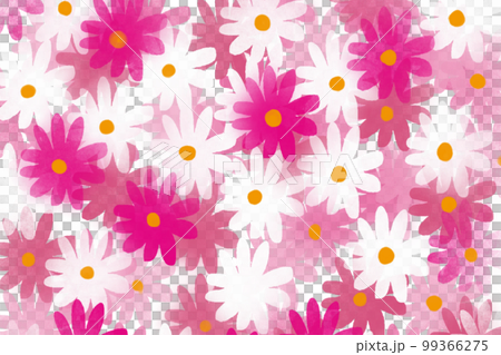 雛菊、デイジーカード 雛菊、デイジーカード 99366275