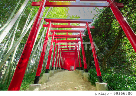 大名庭園　中津万象園　鳥居が幻想的 99366580