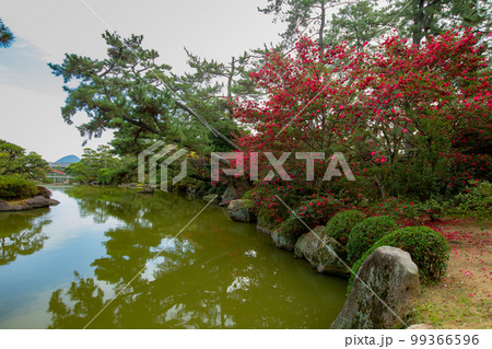 大名庭園 中津万象園 鳥居が幻想的 大名庭園 中津万象園 鳥居が幻想的 99366596