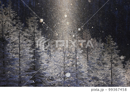 霧ヶ峰のダイヤモンドダストとサンピラー 霧ヶ峰のダイヤモンドダストとサンピラー 99367458