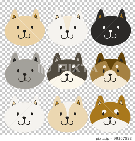 かわいい犬たち 99367858