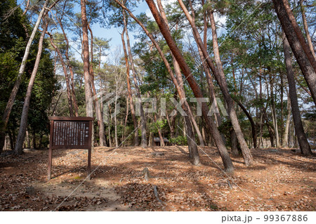 備中国分尼寺跡 金堂跡 岡山県総社市 備中国分尼寺跡 金堂跡 岡山県総社市 99367886