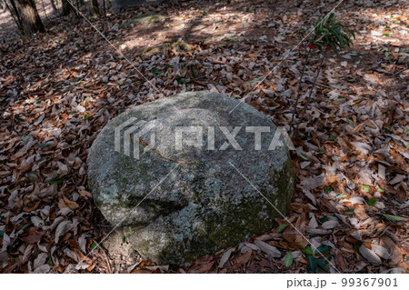 備中国分尼寺跡 金堂跡の礎石 岡山県総社市 備中国分尼寺跡 金堂跡の礎石 岡山県総社市 99367901