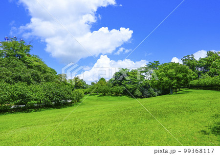 夏の白い雲が浮かぶ青空の下に広がる緑の芝生の丘 99368117