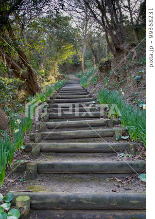 瀬戸内海に浮かぶ男木島　アートの島　 99368231
