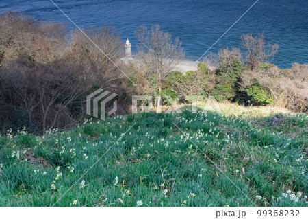 瀬戸内海に浮かぶ男木島　アートの島　 99368232