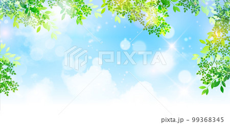 新緑　葉　風景　背景 99368345