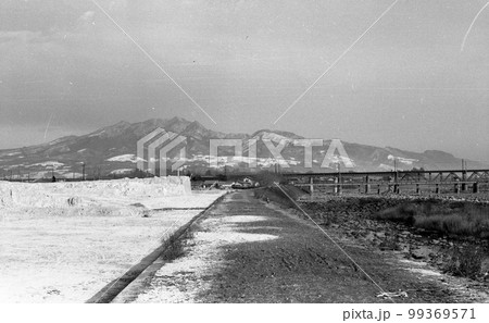 古い写真　昭和30年代　渋川市　利根川に架かる大正橋付近の利根川の右岸を下流側から見る 99369571